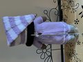 The Bailee Doll Sweet Dreams version